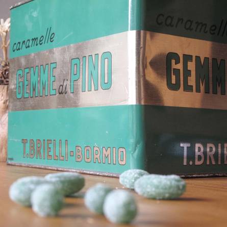 Gemme di Pino