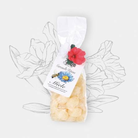 Miele e apicoltura